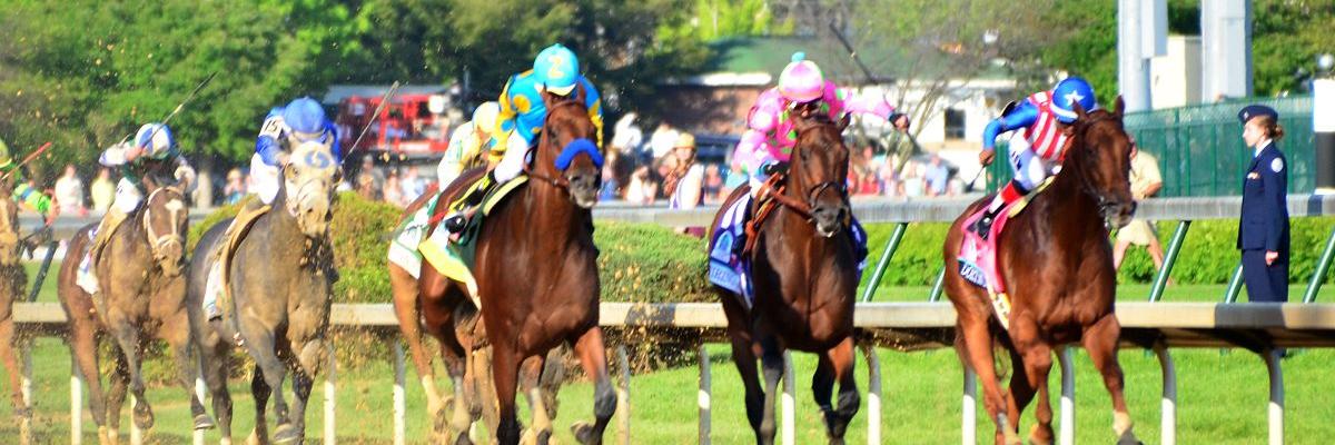 Horse-Races.Net (@horseracesnet) / Posts / X