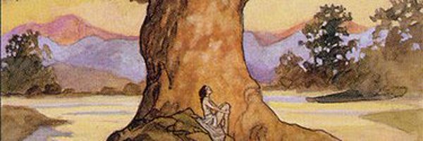 squirrely_cube Profile Banner