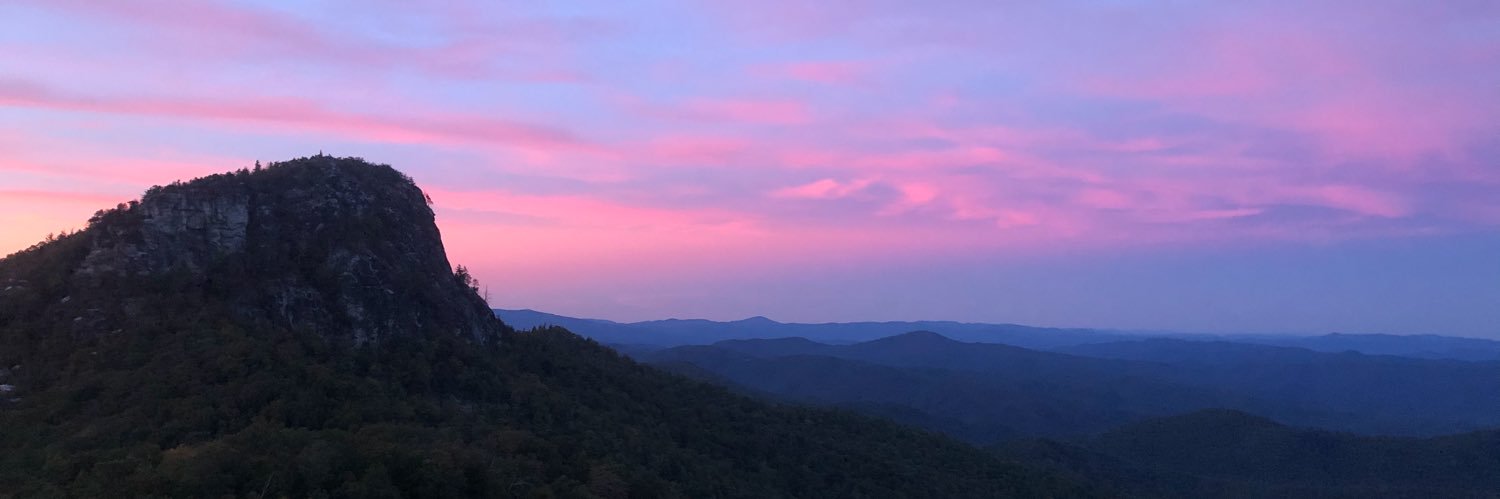 tessarmanning's profile banner image