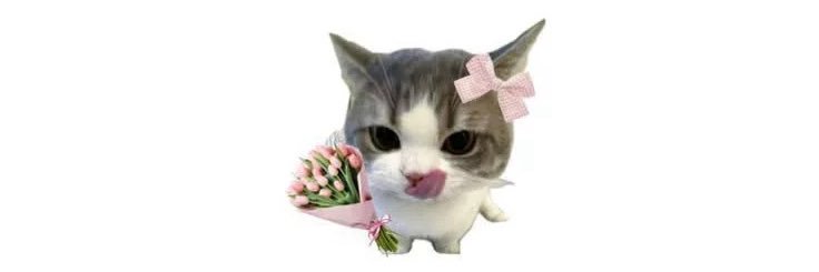 Bapakesoobin's profile banner image