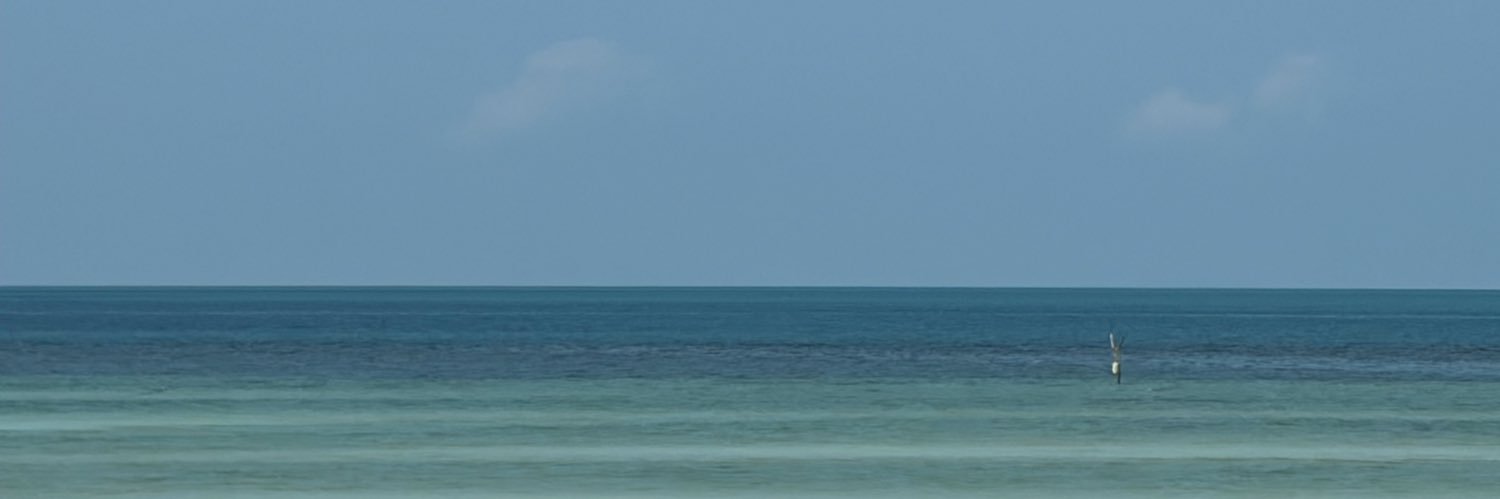 FeRioNaJa's profile banner image