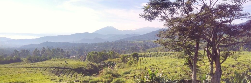 donypratama's profile banner image