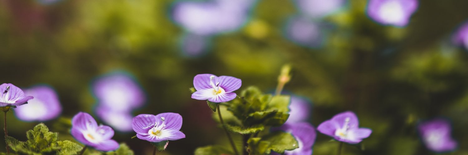 mistylcreations's profile banner image