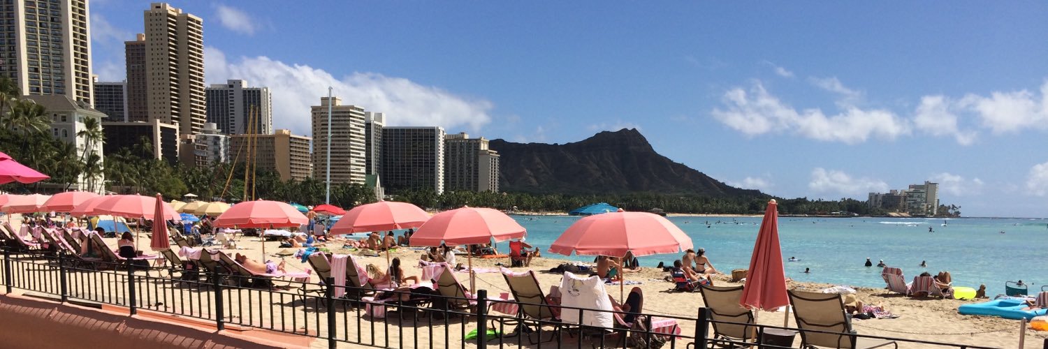 David O'Sullivan banner