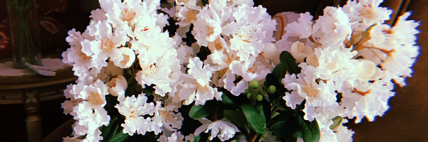 brwnsnd's profile banner image