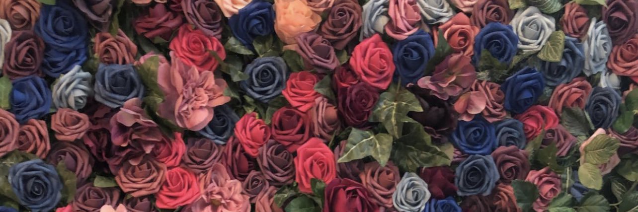 Metta🌸 banner