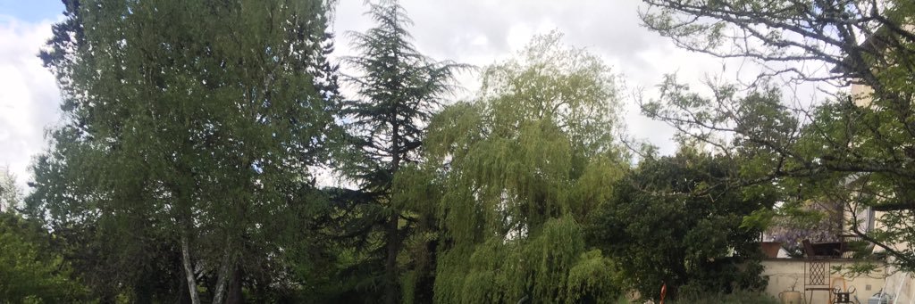 Christophe Degruelle banner