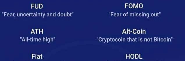 cryptomarketcat's profile banner image
