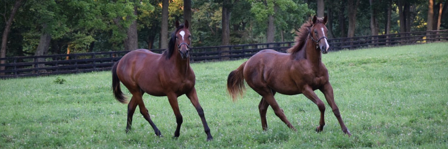 Shawhan Place banner