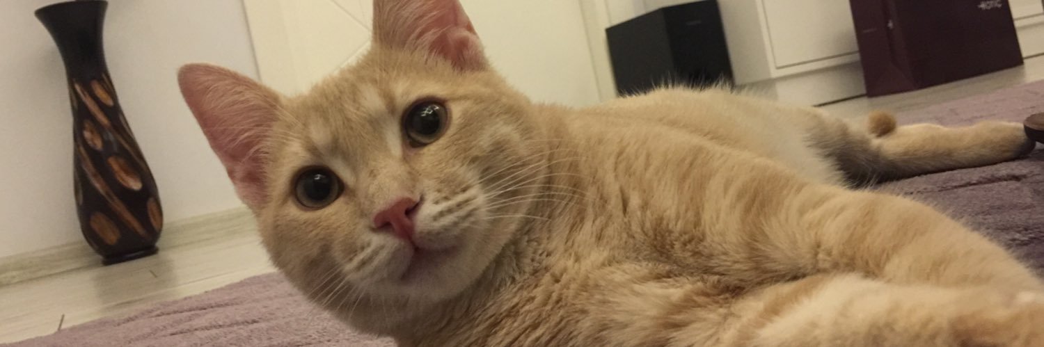 omurtopuz's profile banner image