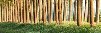 DeepakBhosle's profile banner image