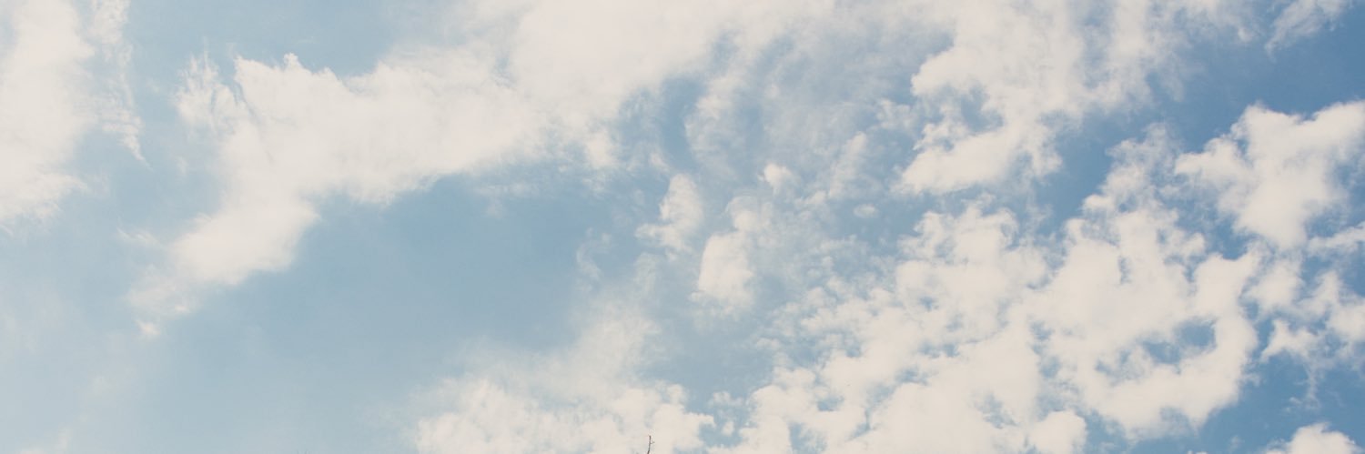 Šarūnas Navickas banner