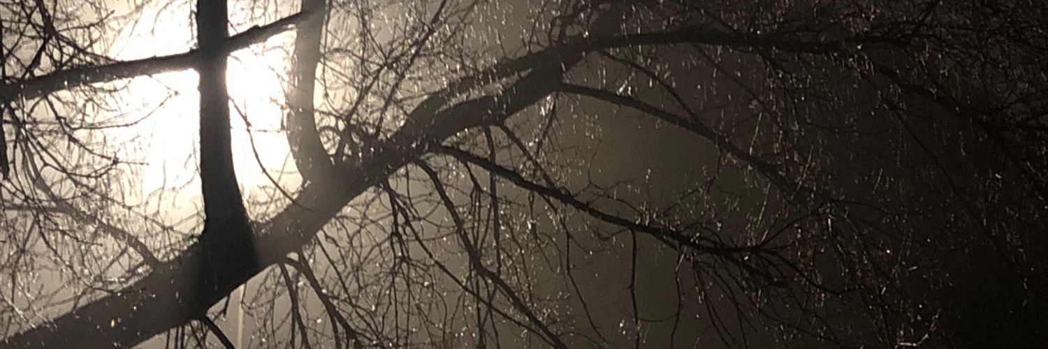 moiraforster's profile banner image