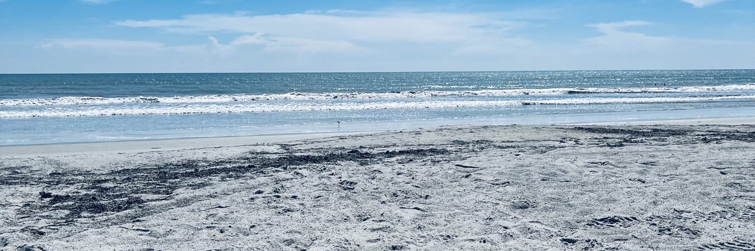 Kim Parker🇺🇸🇺🇸 banner