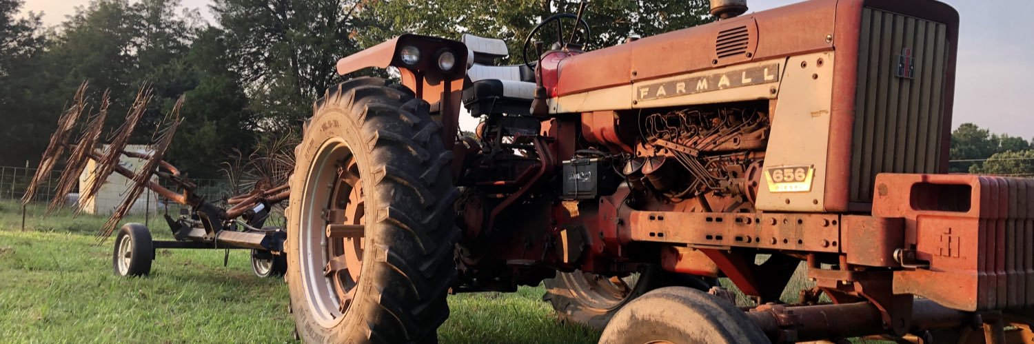 Catherine Jenkins banner