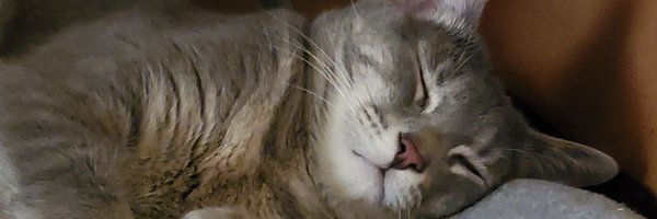 Mas1erCJ Profile Banner