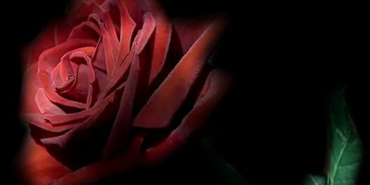 AzerCeylan's profile banner image