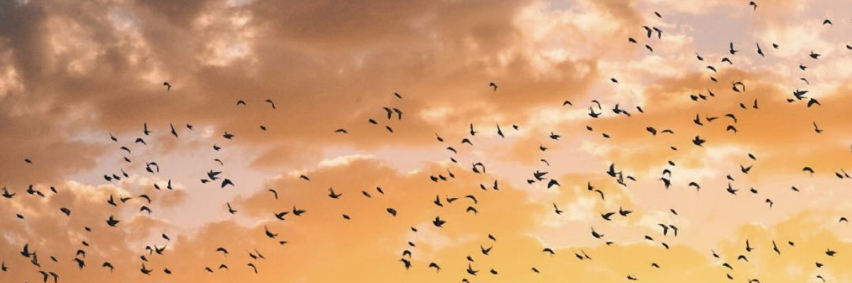 withsem's profile banner image