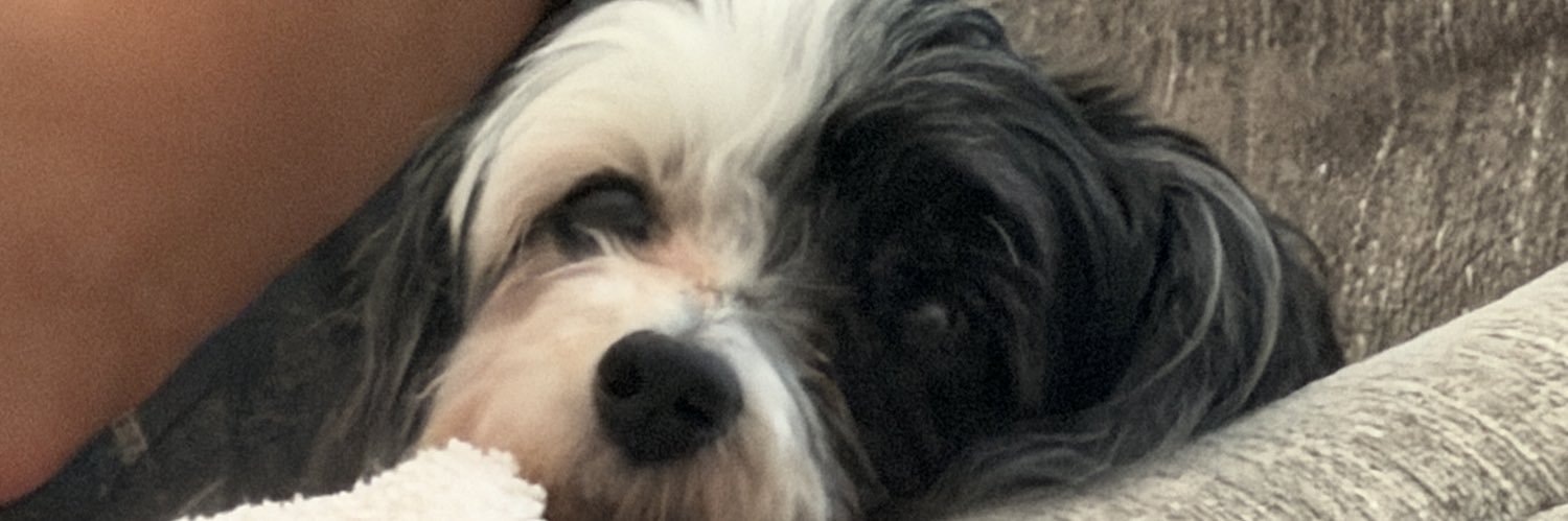 Extipoffprez's profile banner image