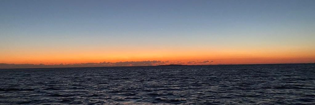 Ahmed El Beheiry banner