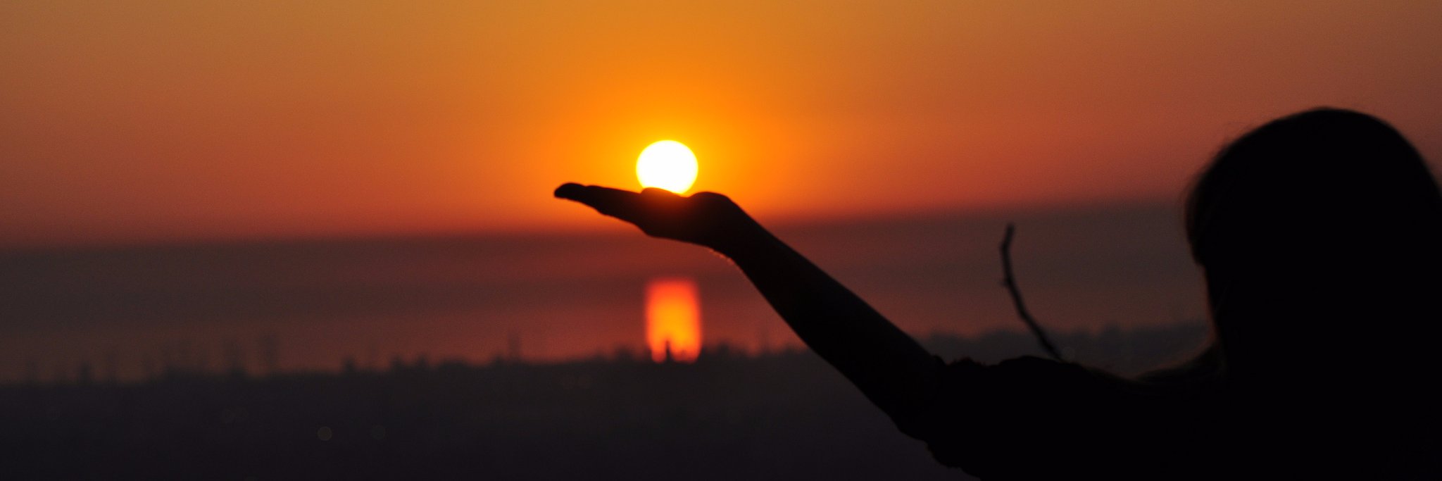 R. Beau Lotto banner