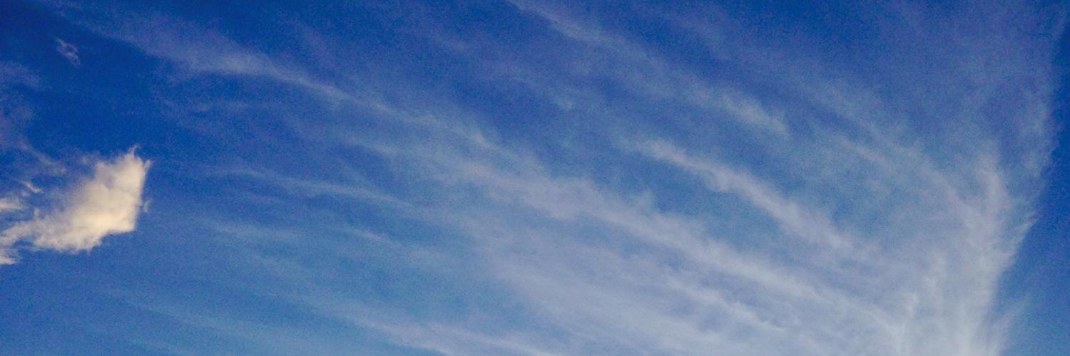 greenrose163's profile banner image