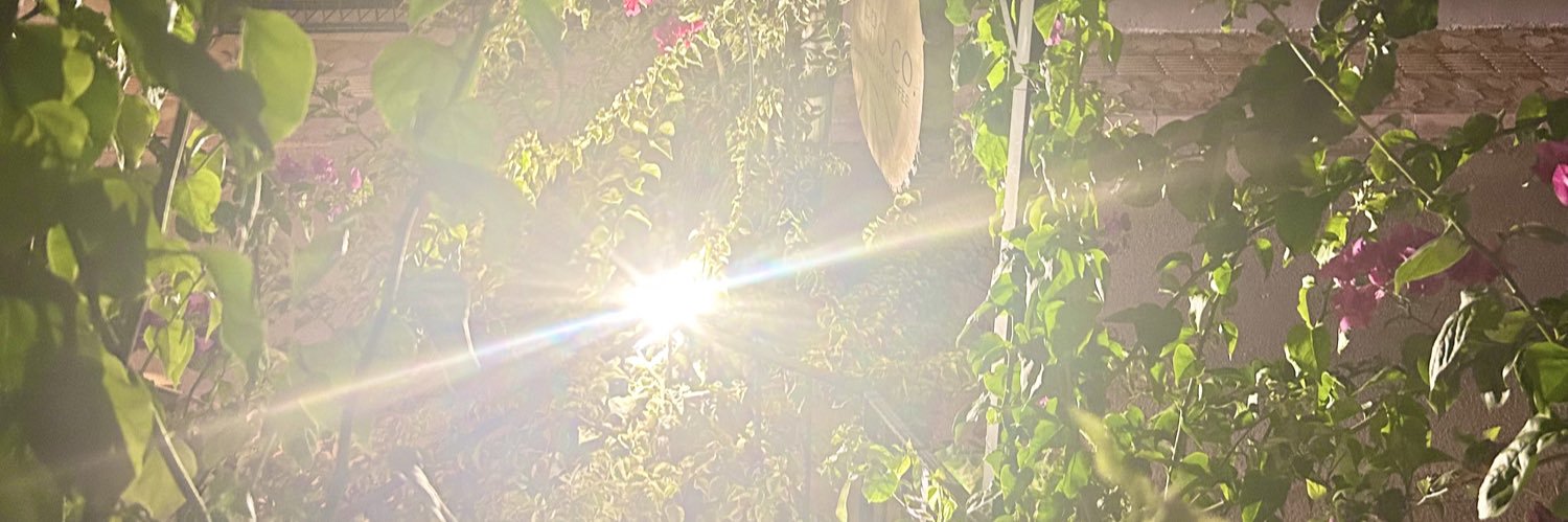 maysiteri's profile banner image