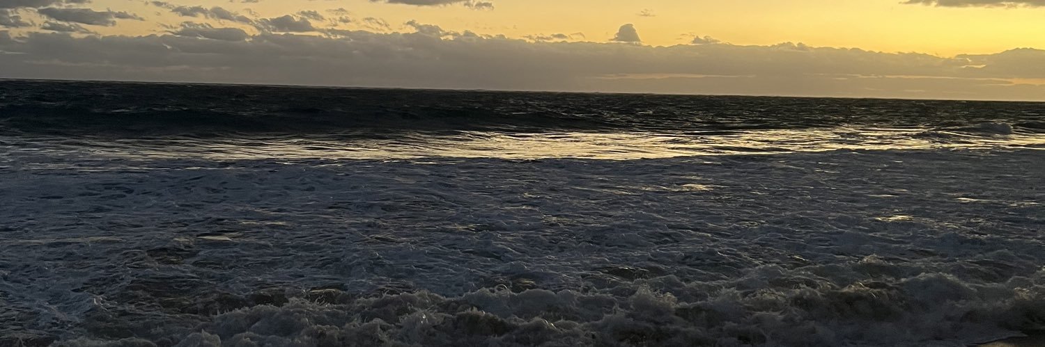 rexsvn_'s profile banner image