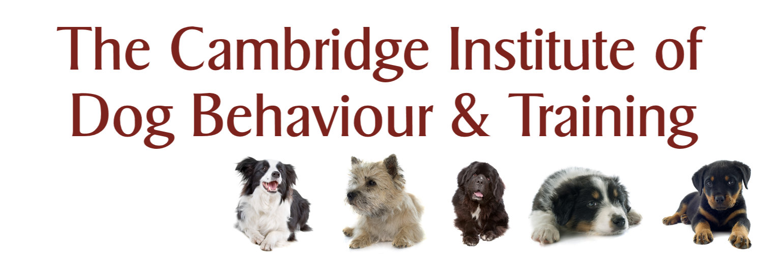 CIDBT banner