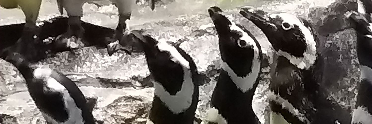seisei_32's profile banner image