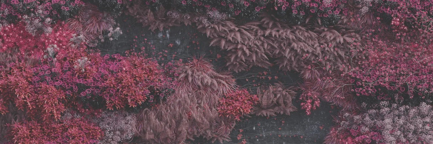 falsumvis's profile banner image