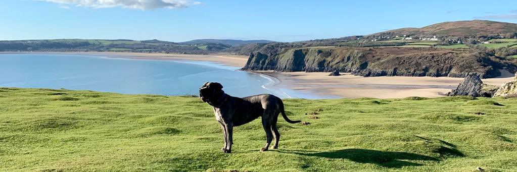 Sanchia Osborn banner