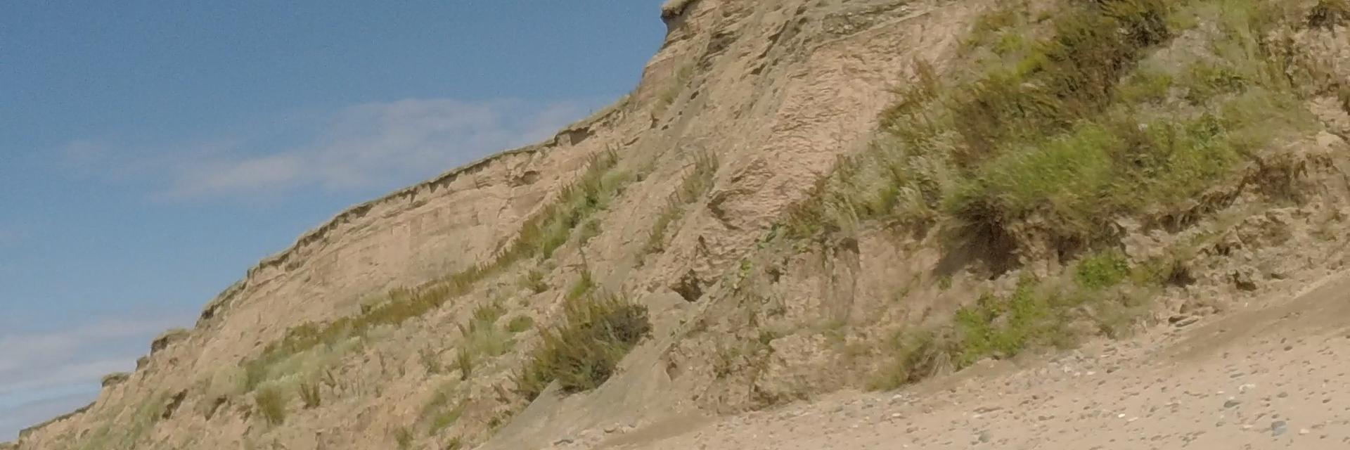peteonsurvival's profile banner image