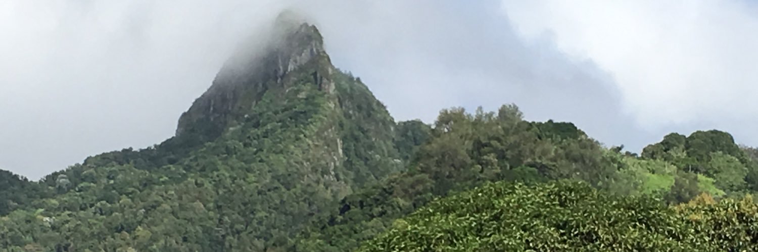 Tu Tangi banner
