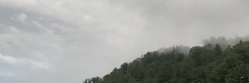 malahmed99's profile banner image