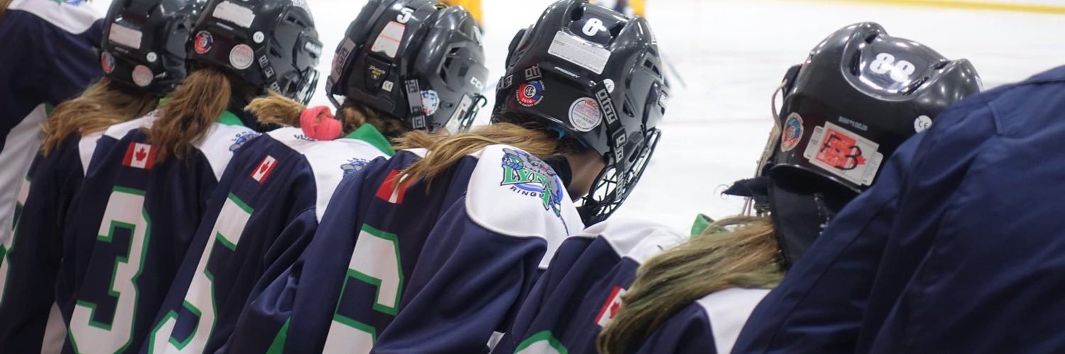 London Lynx Ringette banner