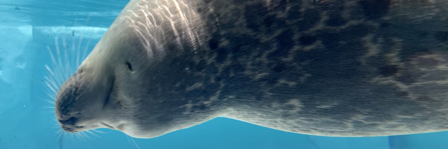 dayasu_1691's profile banner image