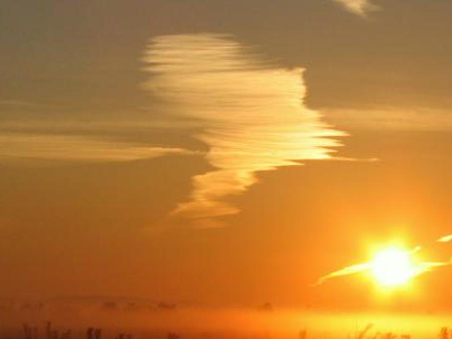 riparory's profile banner image