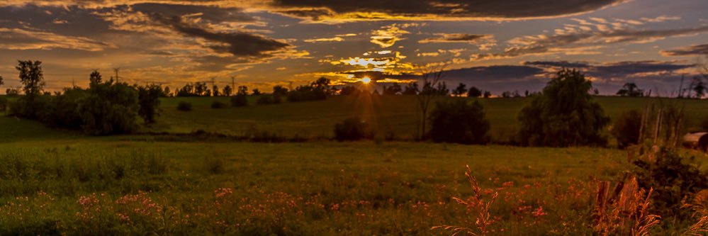 Nathan Masters banner