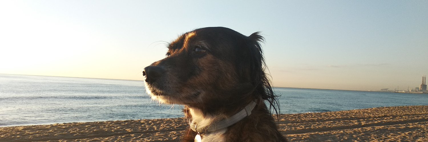 XaviXmm's profile banner image