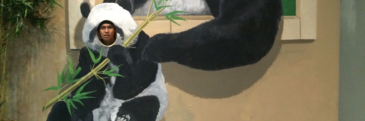 sfynmft's profile banner image