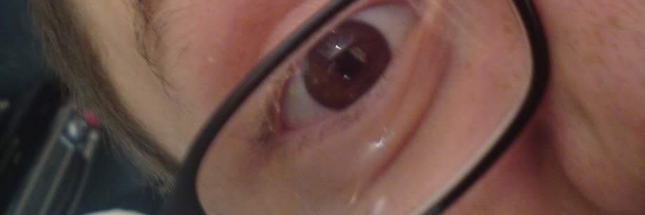 Sarah Jane Torrison banner