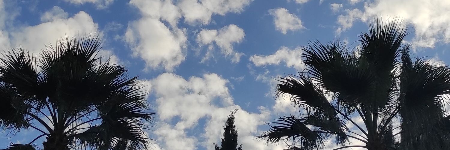 danielamrtn__'s profile banner image
