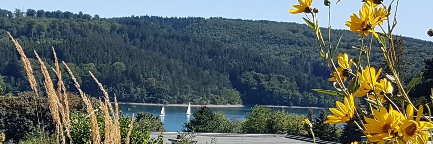 Verena Abromeit banner