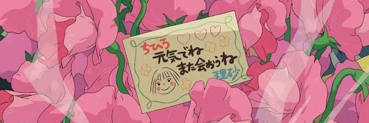 springstarcokr's profile banner image