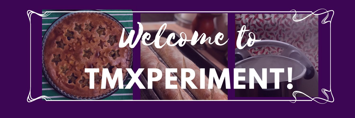 TMxperiment's profile banner image