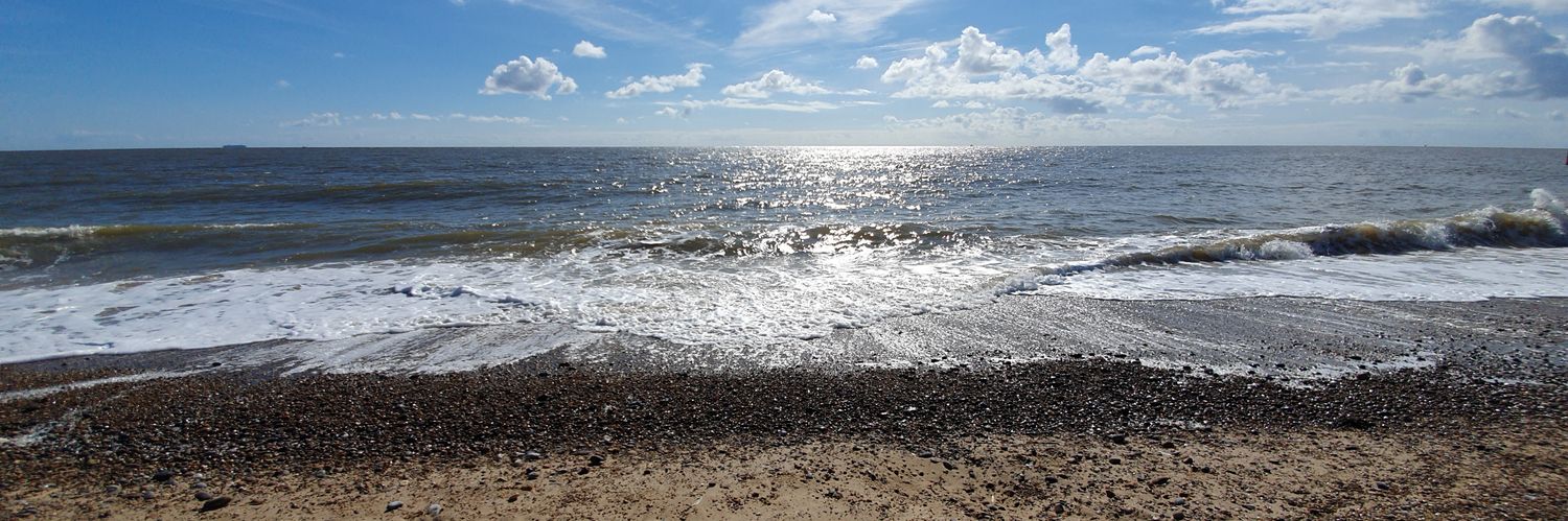 Sarah Thorogood 💙 banner