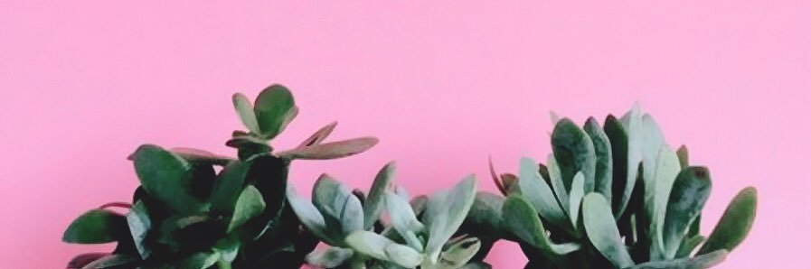 dylannkramer's profile banner image