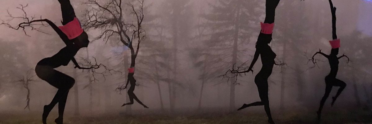 lykimber's profile banner image