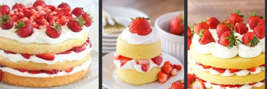 🍄🐭🌷🦔🍭🐰🍒🐻🌱 banner